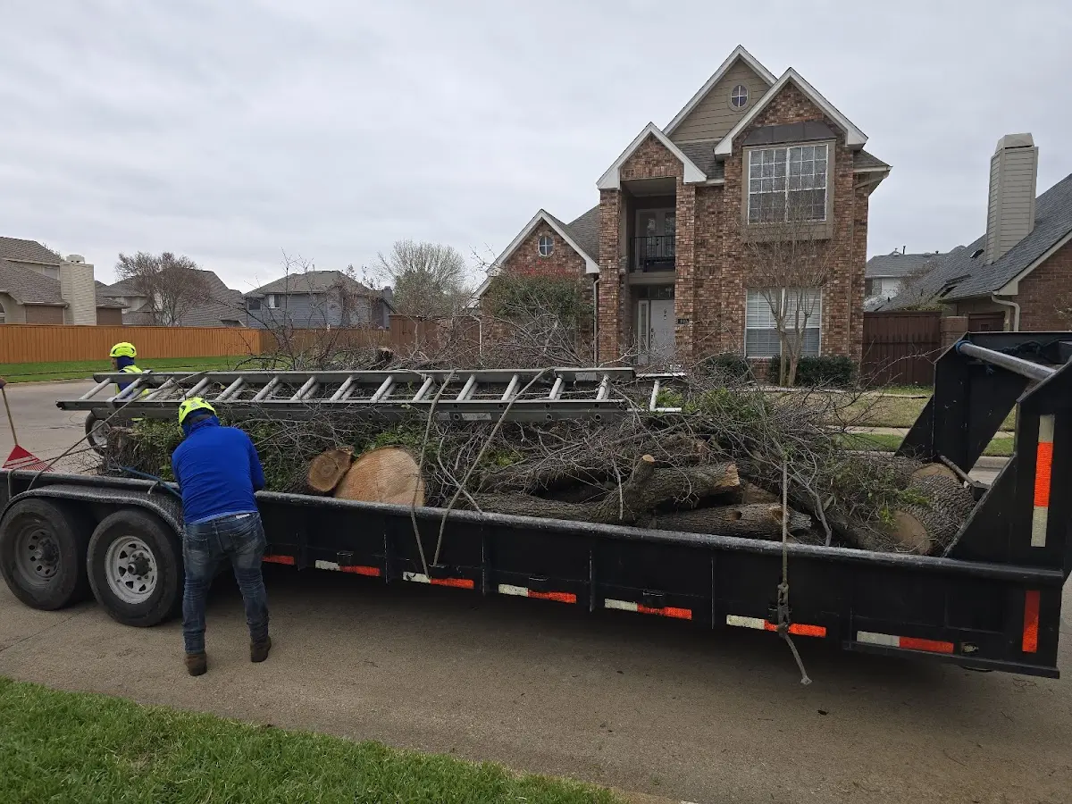 Expert Tree Fertilization with proper safety equipment in Woolwine